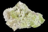 Vesuvianite & Diopside Crystal Cluster - Jeffrey Mine, Canada #134427-1